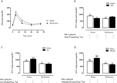 Metformin Improves Autonomic Nervous System Imbalance and Metabolic Dysfunction in Monosodium L-Glutamate-Treated Rats